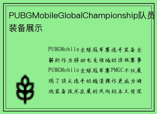 PUBGMobileGlobalChampionship队员装备展示