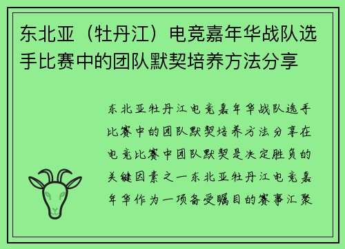 东北亚（牡丹江）电竞嘉年华战队选手比赛中的团队默契培养方法分享
