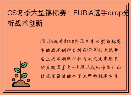 CS冬季大型锦标赛：FURIA选手drop分析战术创新